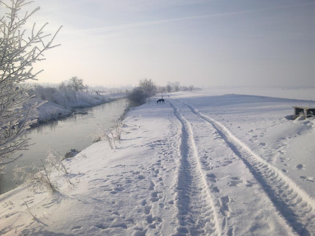 Fewo-Thueringer-Becken Vehra Экстерьер фото